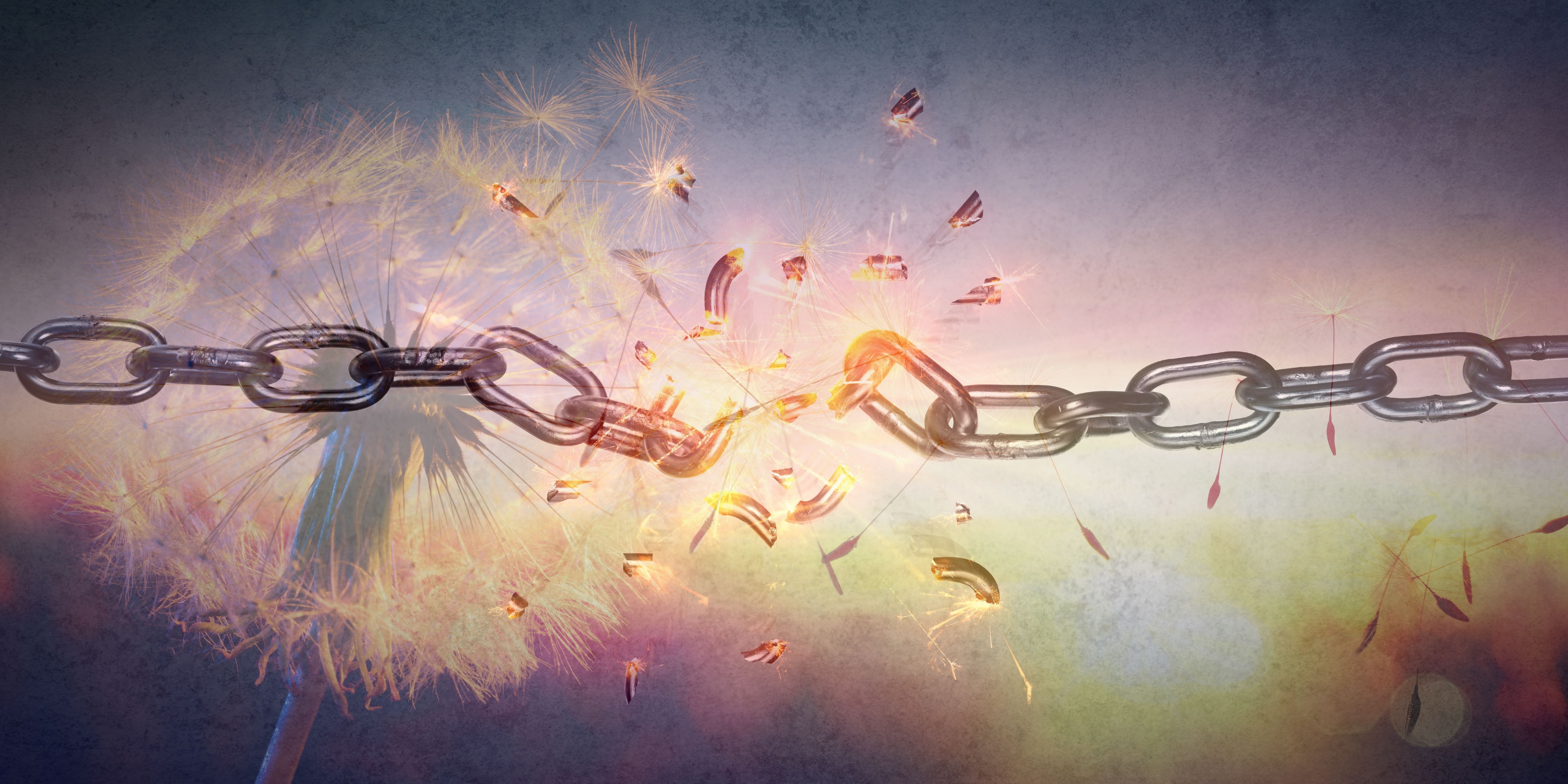 June 2021 – WHOLEistic Media